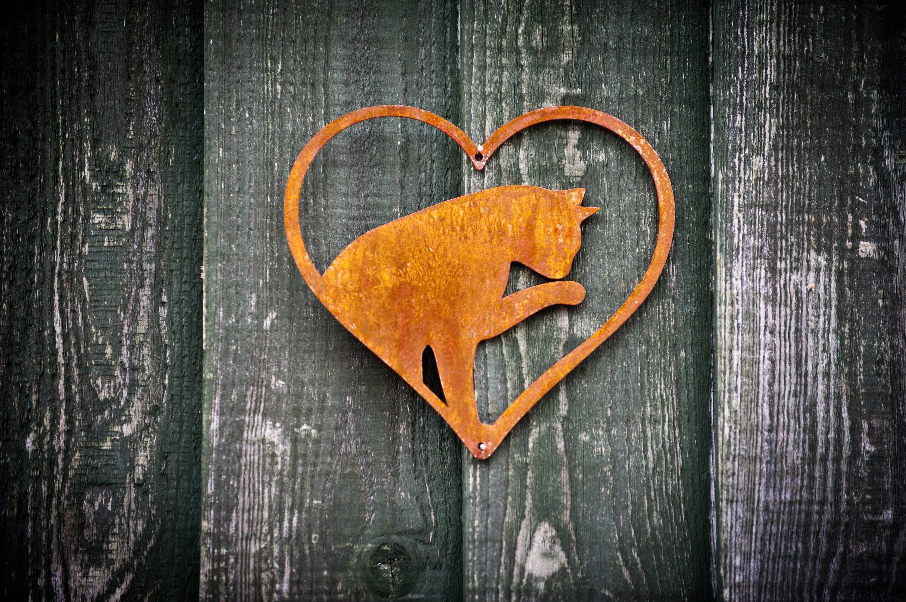 I Love my Cat Metal Wall Heart Rusty Garden Art Decor Fence Wall
