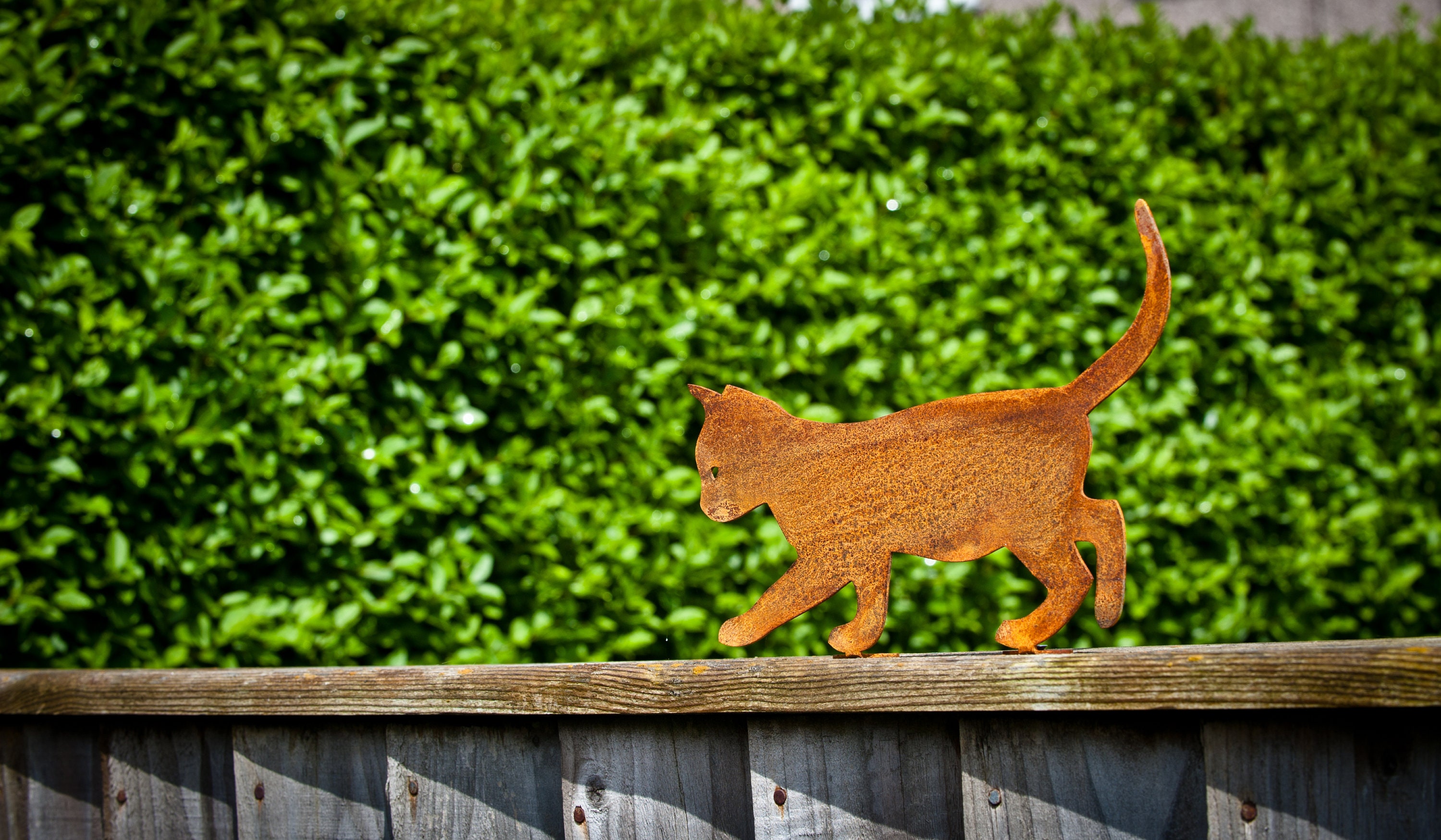 Kitten fence hotsell
