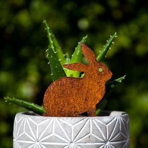 May include: A rusty metal rabbit cutout placed in a concrete planter with a green succulent plant.