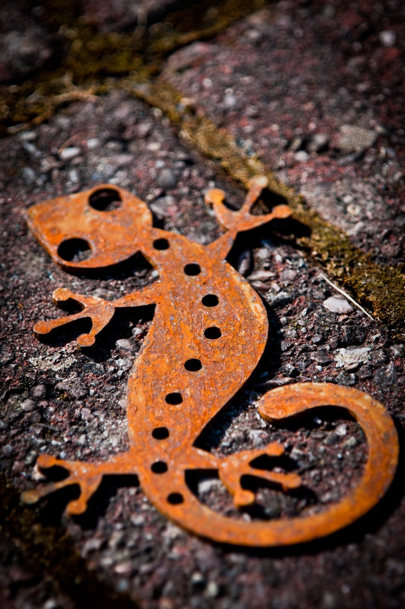 Metal Gecko Lagarto Decoración de arte de jardín oxidado | Etsy