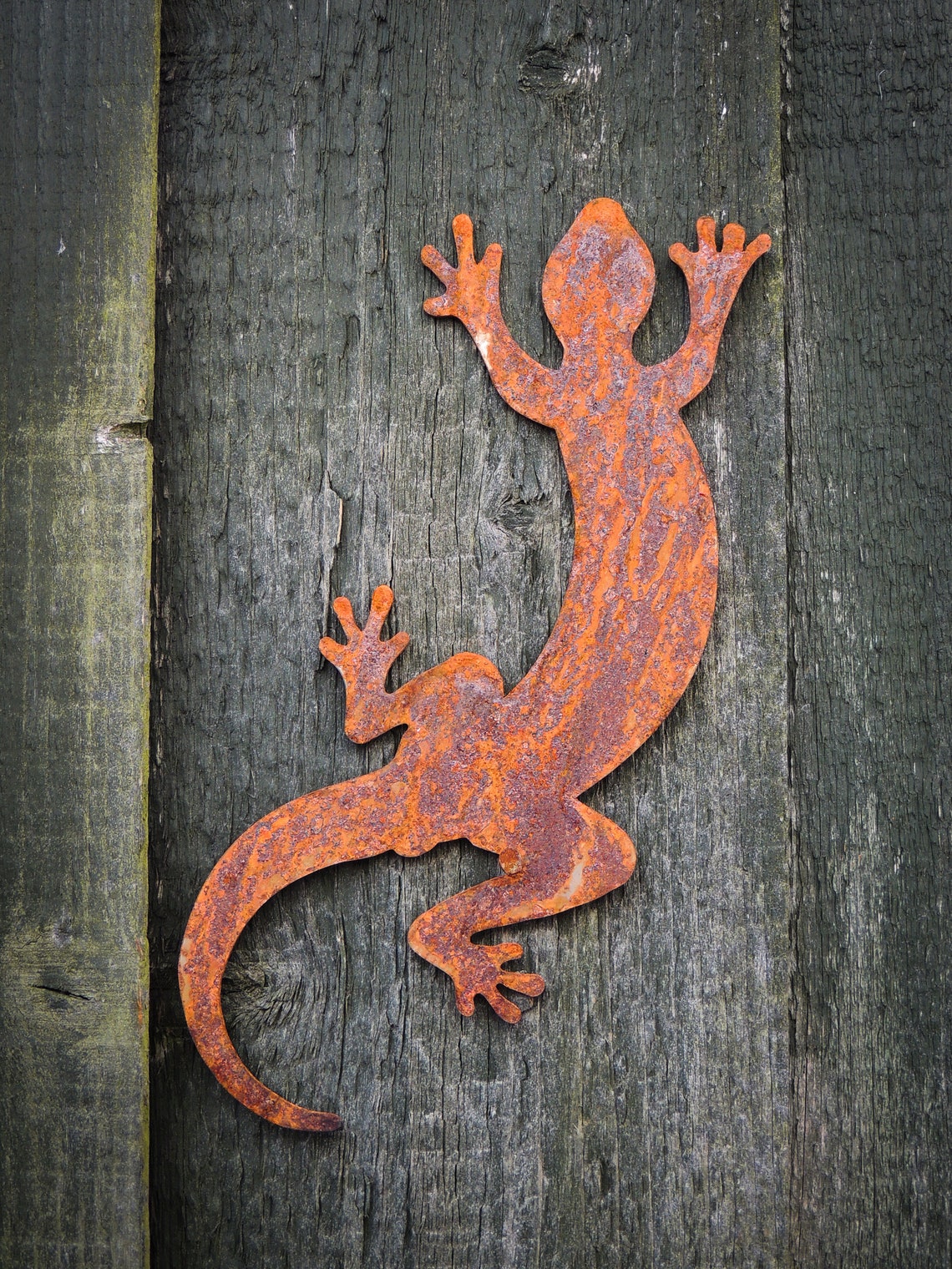 Rust Lizard Metal Lizard Wall Art: Rustic Garden Decor, Ready to Rust - Etsy UK