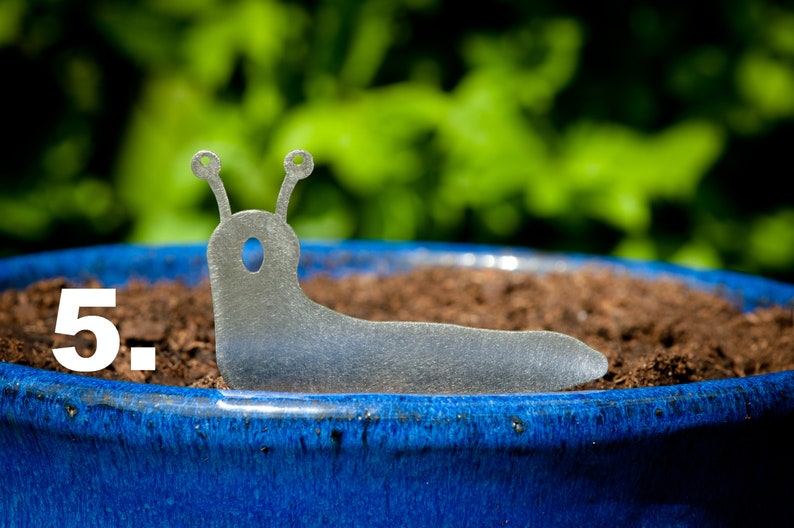 Stainless Steel Slug Family, House Plant Pot Ornaments, Flower Pot Decor, Window Box Ornament, Houseplant Gift, New House Gift, Garden Gifts Slug 5.