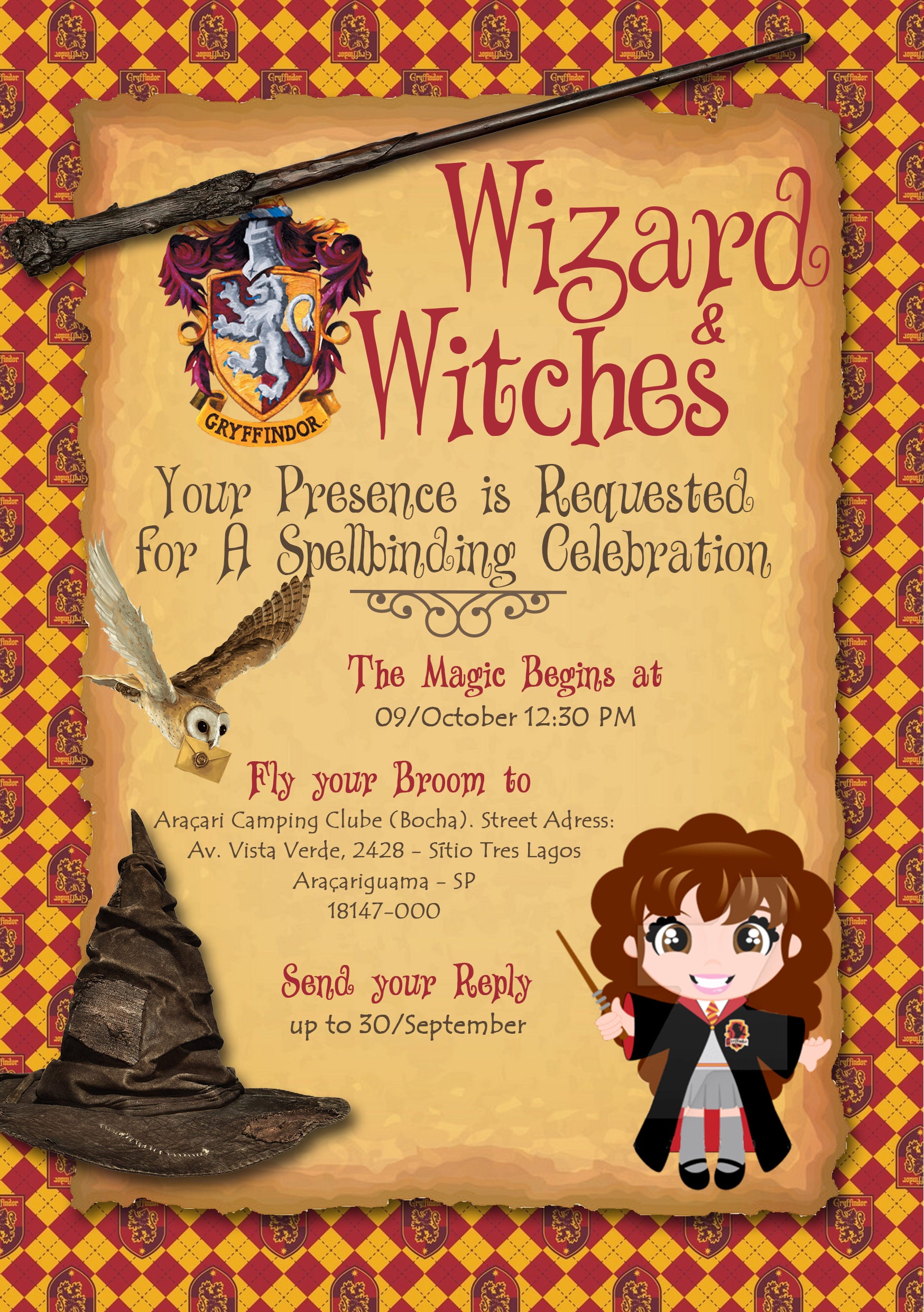 Harry Potter themed birthday party invitation, set of 12, magic, witch,  school of witchcraft, kids birthdays, printed invitations
