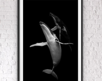 Whale Print, Black and White photo, Fine Art Print, Nature Photography, Home Decor, Digital Prints Download, Wall Art, Downloadable prints.