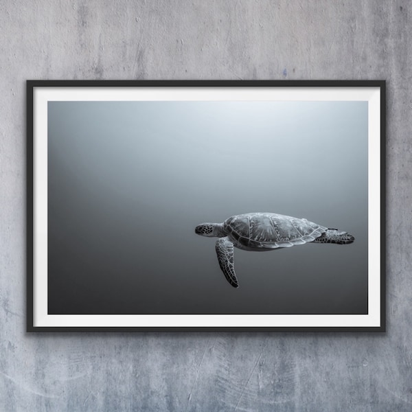 Turtle Print, Black and White photo, Fine Art Print, Nature Photography, Home Decor, Digital Prints Download, Wall Art, Downloadable prints.