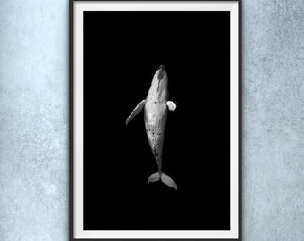 Whale Print, Black and White photo, Fine Art Print, Nature Photography, Home Decor, Digital Prints Download, Wall Art, Downloadable prints.