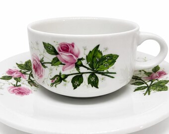 Villeroy & Boch German porcelain rose pattern cup and saucer