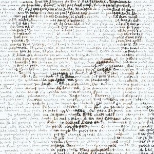 Georges Brassens, portrait of the singer and composer, in the words of Supplique pour être tombeur à la plage de Sète followed by La Parapluie