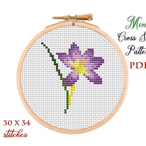 May include: A cross-stitch pattern of a purple and yellow flower on white fabric, set in a wooden embroidery hoop. The text "Mini Cross Stitch Pattern PDF" is displayed. The pattern is 30 x 34 stitches.