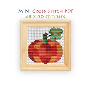 Pode incluir: Um padr&atilde;o de ponto cruz de uma ab&oacute;bora em tons de vermelho, laranja e amarelo com uma folha e caule verdes, emoldurado em madeira clara. O texto acima diz MINI CROSS STITCH PDF 48 x 50 STITCHES sobre um fundo de grade branca.