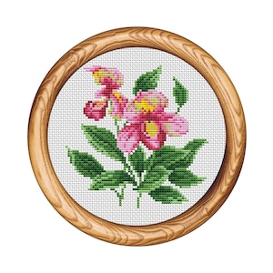 Blumen Kreuzstichmuster. Blumenstickerei. Kreuzstichvorlage. Naturstickerei Stickrahmen. Kleiner xstitch. Sofortiger Download PDF