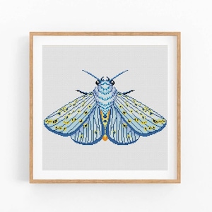 Butterfly cross stitch pattern, Insects, Entomology cross stitch, Moth embroidery wall decor, Modern cross stitch. Instant download PDF