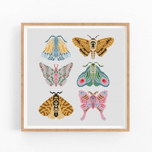 Butterfly cross stitch pattern, Insects, Entomology cross stitch, Moth embroidery wall decor, Modern cross stitch .Instant download PDF