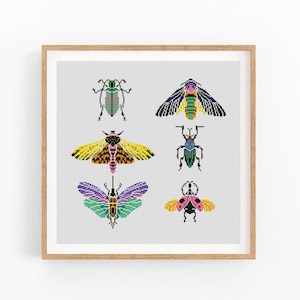 Butterfly cross stitch pattern, Insects, Entomology cross stitch, Moth embroidery wall decor, Modern cross stitch. Instant download PDF