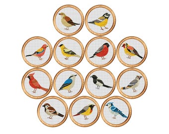 Bird Cross Stitch Pattern Bundle, Set of 13 Counted Cross Stitch Birds, Ornithology Nature PDF Instant Download