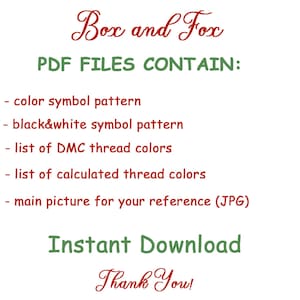 Pode incluir: Um documento digital listando o conte&uacute;do dos arquivos PDF Box and Fox, incluindo um padr&atilde;o de s&iacute;mbolos coloridos, padr&atilde;o de s&iacute;mbolos em preto e branco, lista de cores de fios DMC, lista de fios calculados e uma imagem de refer&ecirc;ncia em JPG.