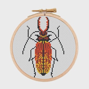 May include: A cross-stitch embroidery of a beetle centred in a round wooden hoop. The beetle features a gradient pattern of red, orange, and yellow on its body and wings, with black outlines and antennae. The background is white fabric.
