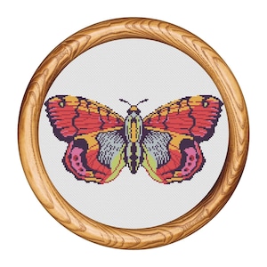 May include: A framed cross-stitch of a butterfly. The butterfly has red, pink, yellow, and blue wings. The frame is made of wood. The butterfly is centered on a white background.