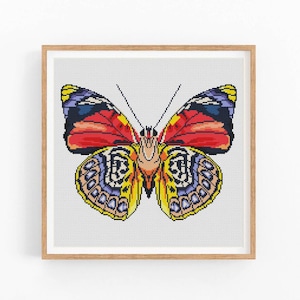 Butterfly cross stitch pattern, Insects, Entomology cross stitch, Moth embroidery wall decor, Modern cross stitch. Instant download PDF