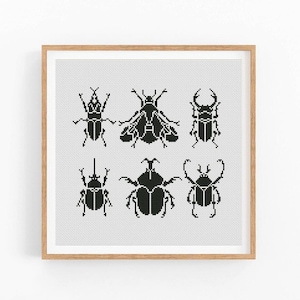 May include: A framed black and white cross-stitch design featuring six different types of beetles. The beetles are all in silhouette and are arranged in a grid pattern.