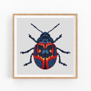May include: A framed cross-stitch of a beetle. The insect has a dark blue head and legs, with a red and blue patterned body. The artwork is set against a white background and framed in a light brown wooden frame.