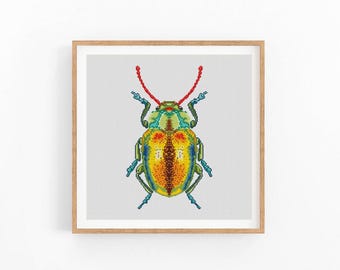 Kever kruissteekpatroon, insecten, entomologie kruissteek, vlinderborduurwerk wanddecor, moderne kruissteek. Pdf direct downloaden
