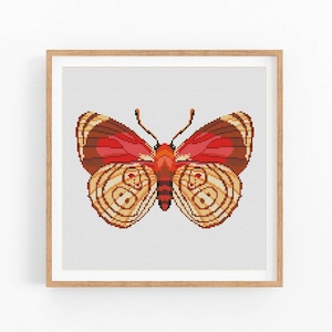 Butterfly cross stitch pattern, Insects, Entomology cross stitch, Moth embroidery wall decor, Modern cross stitch. Instant download PDF