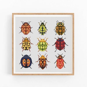 May include: Nine colorful cartoon ladybugs with different patterns and colors, including red, yellow, green, blue, and black. The ladybugs are arranged in a grid pattern on a white background.