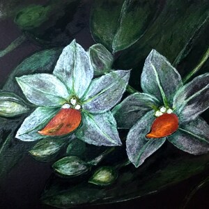 Dipinto di fiori di orchidee, fiori di orchidea bianchi su sfondo nero, decorazione botanica per la casa, dipinto ad acquerello originale, opera d'arte unica nel suo genere