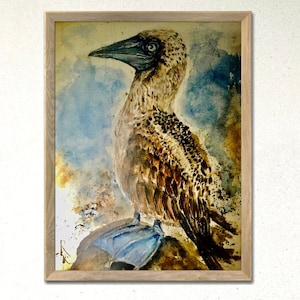 Piquero de patas azules pintura original de acuarela, pintura de pájaros exóticos, decoración de paredes de pájaros, diseño interior,