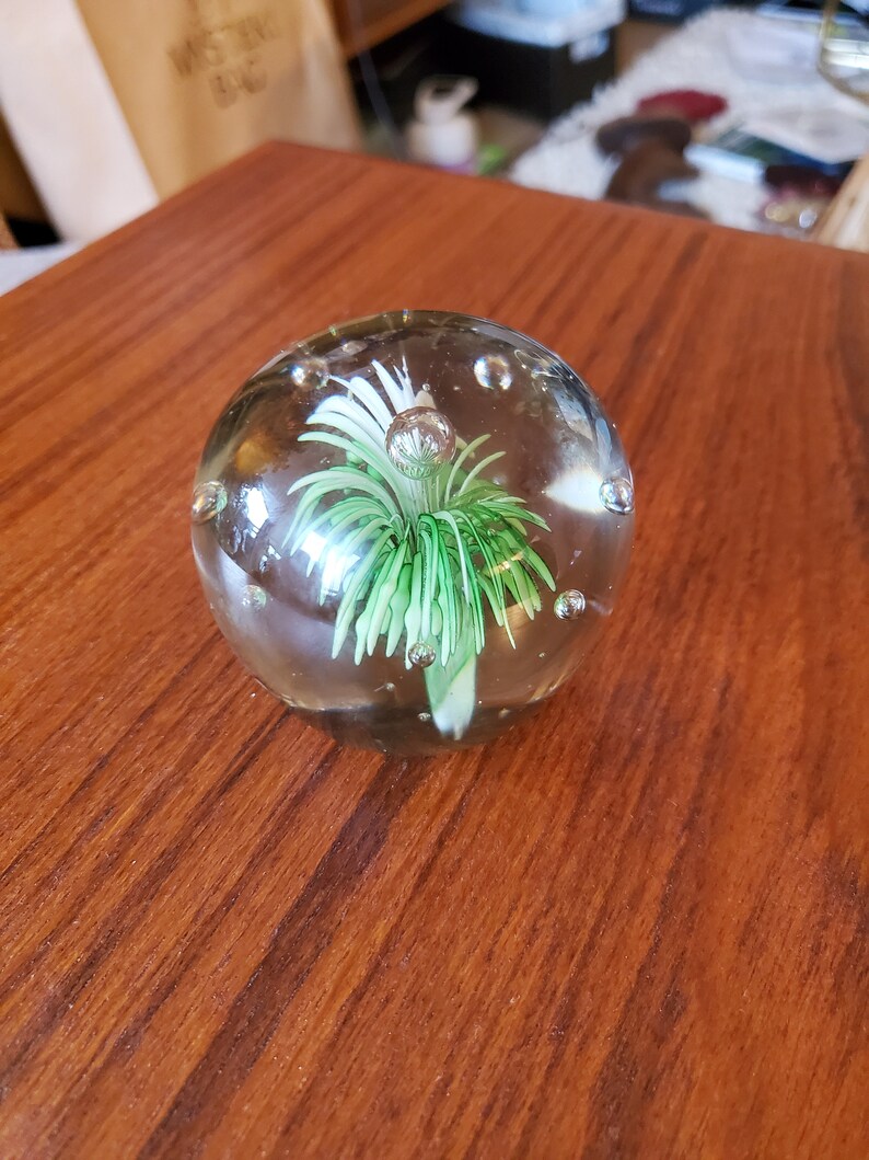 Small bush paperweight