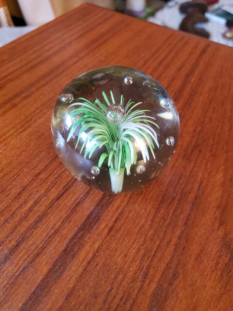 Small bush paperweight