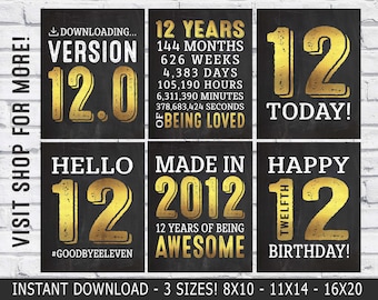 12th birthday decorations - 12th birthday party signs - 12th birthday posters - born in 2012 - Printable Instant Download gold & black Decor