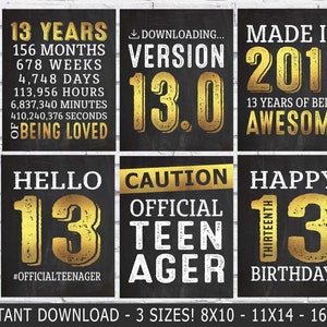 13.Geburtstag Dekorationen - 13er Geburtstag Partyschilder - 13er Geburtstag Poster - geboren 2011 - Printable Instant Download gold & schwarz Dekor