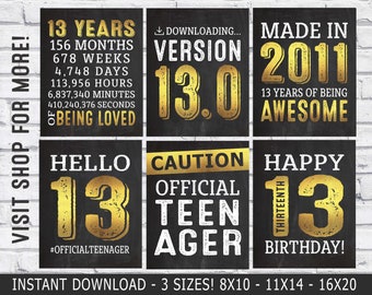 13th birthday decorations - 13th birthday party signs - 13th birthday posters - born in 2011 - Printable Instant Download gold & black Decor