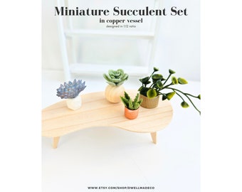 Miniature Plant Set, miniature houseplants, modern miniatures, dollhouse accessories, miniature plants