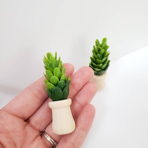 Miniature Topiary, miniature porch decor, miniature houseplants, modern miniatures, 12:1 scale