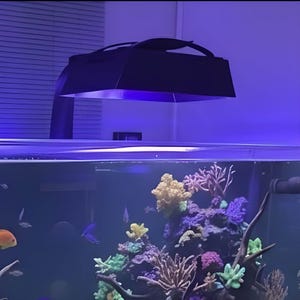 EcoTech Radion XR30 G4 G5 G6 Klosz LED zapobiegający rozpraszaniu światła