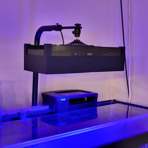 Op de afbeelding: Een zwarte aquariumlamp met een metalen arm en een wit snoer dat aan het plafond hangt. De lamp is gemonteerd boven een glazen aquarium met blauwe verlichting.