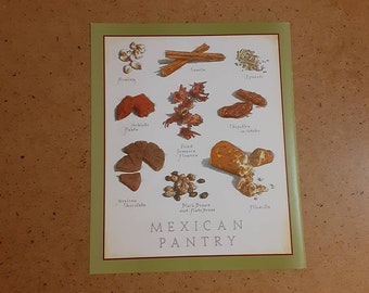 Cook's Illustrated back cover page poster of Mexican Pantry by John Burgoyne, 8x10.5 inch frameable food art print with green border