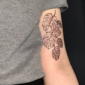 Monstera Leaves - Temporary Tattoo