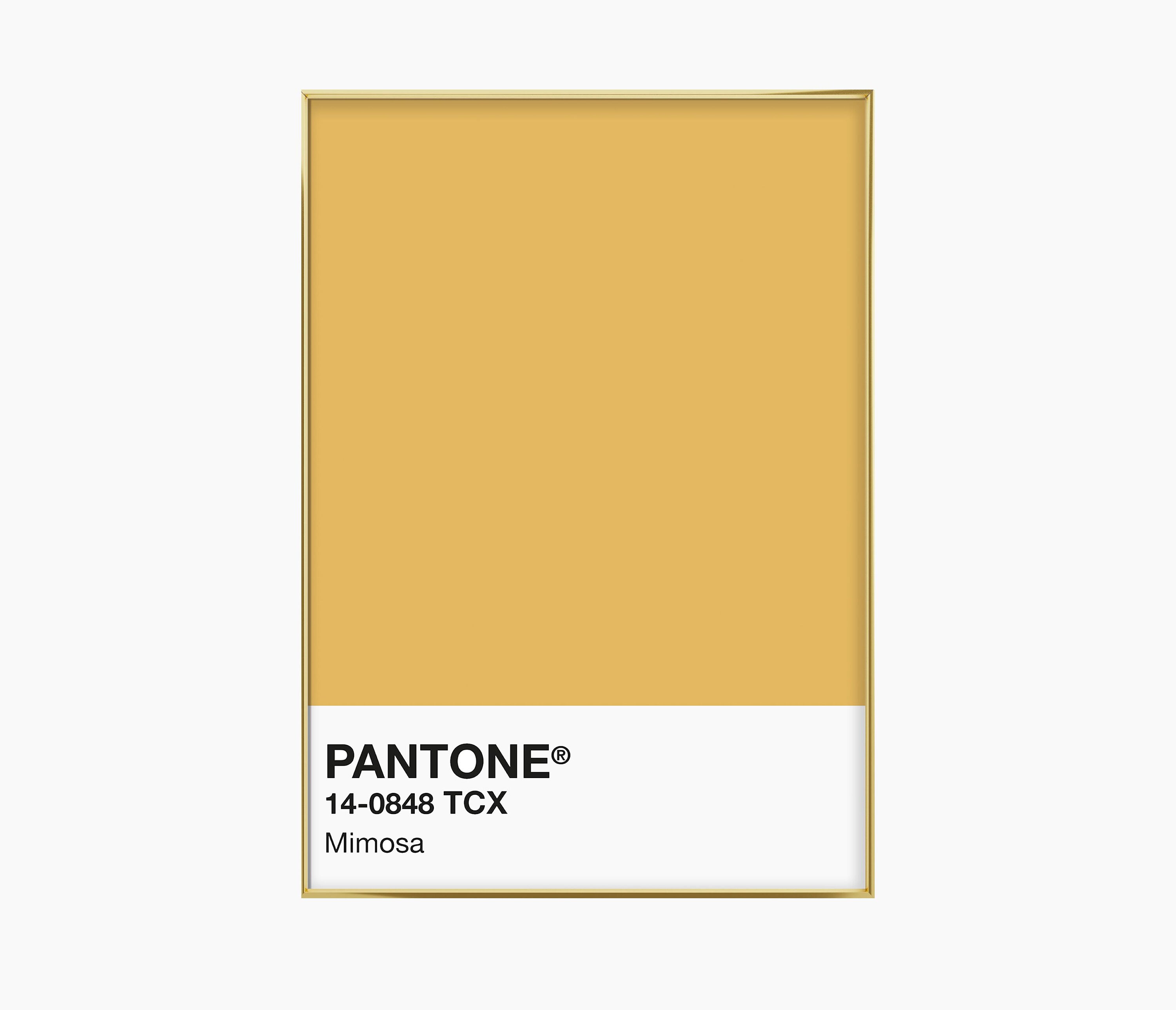 Pantone Mimosa Print INSTANT DOWNLOAD Pantone Print Pantone Etsy