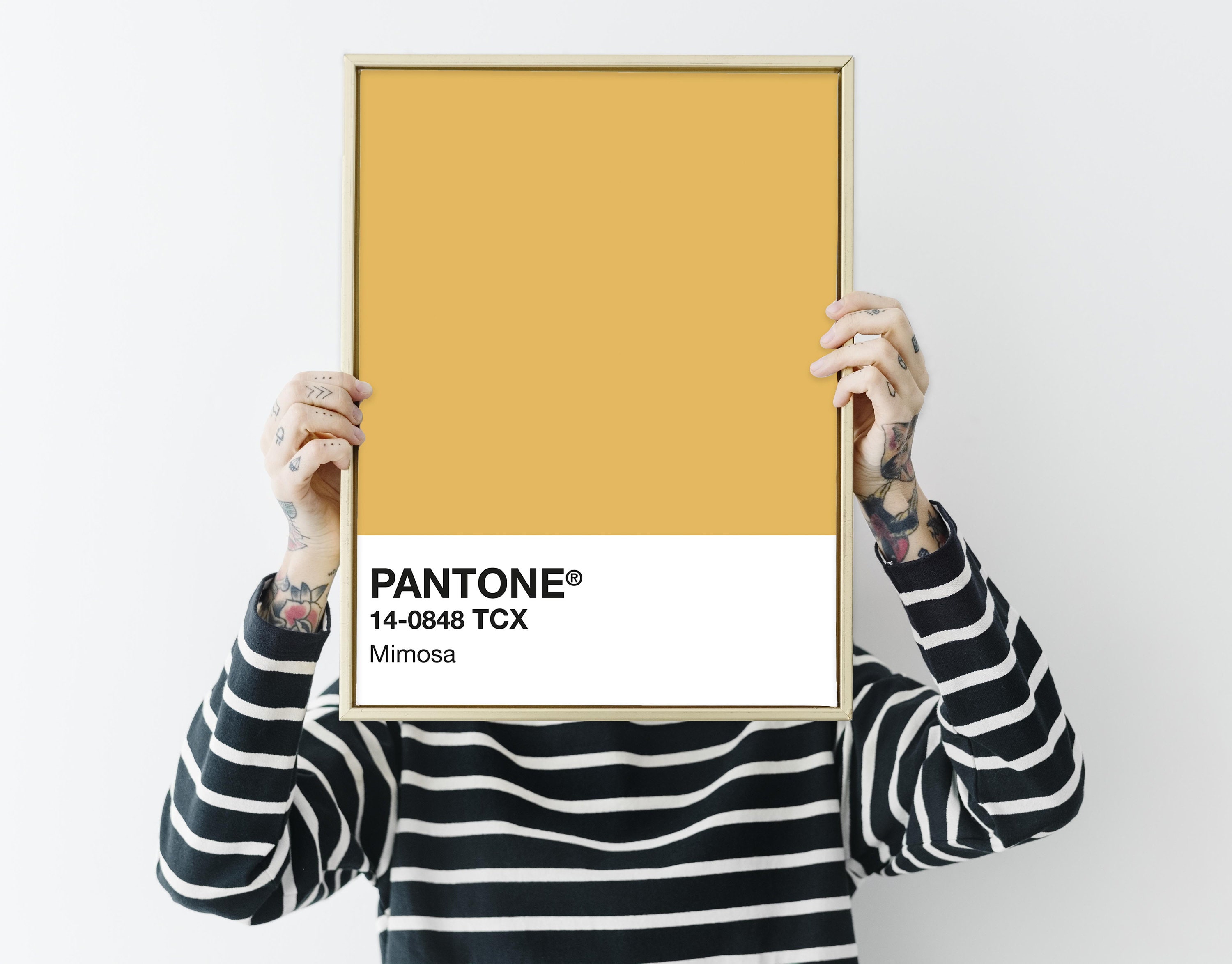 Pantone Mimosa Print INSTANT DOWNLOAD Pantone Print Pantone Etsy