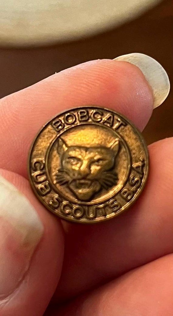 Vintage Cub Scout Pin, Cub Scout Pins, Vintage Cub Scout, Cub Scouts.