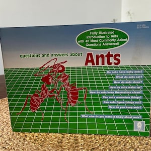 Questions And Answers About Ants Book, Ant Books, Insect Books, Insects, Vintage Insects Books, Vintage Ants Books.