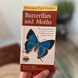 Vintage Butterflies And Moths Book, Insect Books, Butterfly Books, Butterflies, Moth Books, Vintage Butterflies.