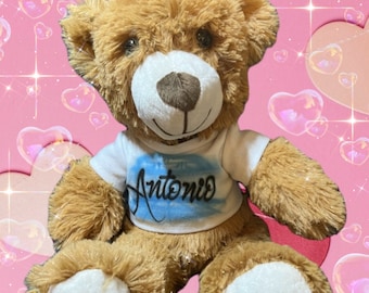 Custom Teddy With Airbrush Name