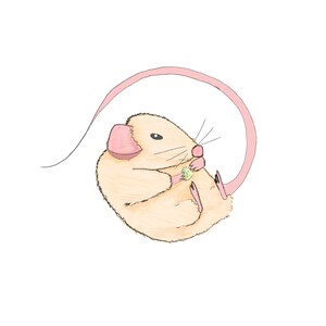 Kawaii Rat sticker | Adorable Rat Sticker | Cute Rat Eating Grape Sticker | Vinyl Sticker | Holo Vinyl Sticker