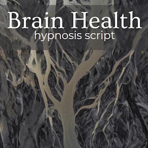 May include: A digital product cover with the words "Brain Health" and "hypnosis script" in white text. The background is a dark, abstract aerial view of a landscape with light-colored, tree-like formations. The word "codekeepers" is at the bottom.