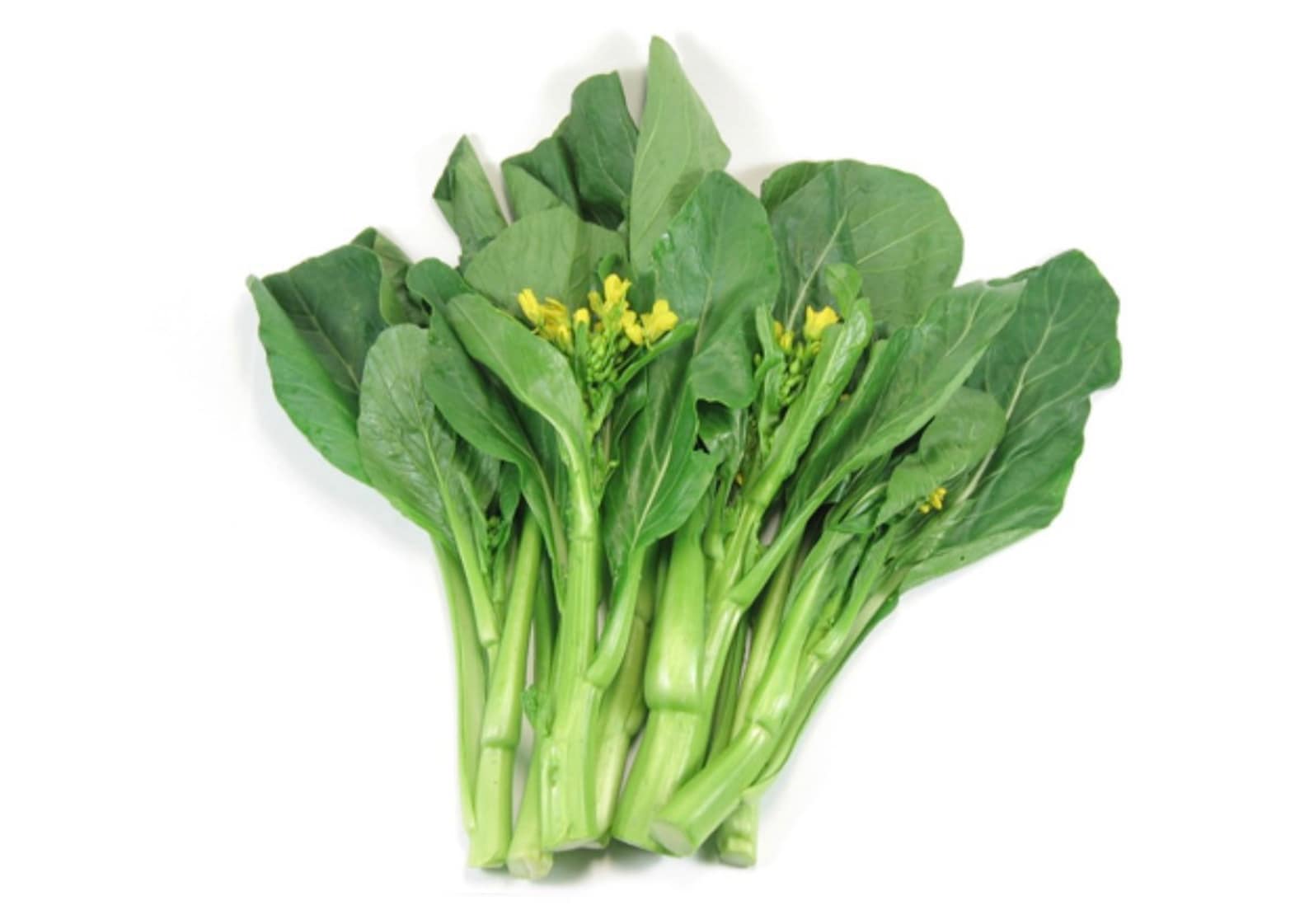 Chinese Flowering Cabbage Seeds Etsy